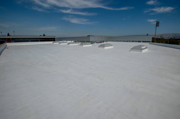 Best Sheet Metal Roofing  in Zachary, LA